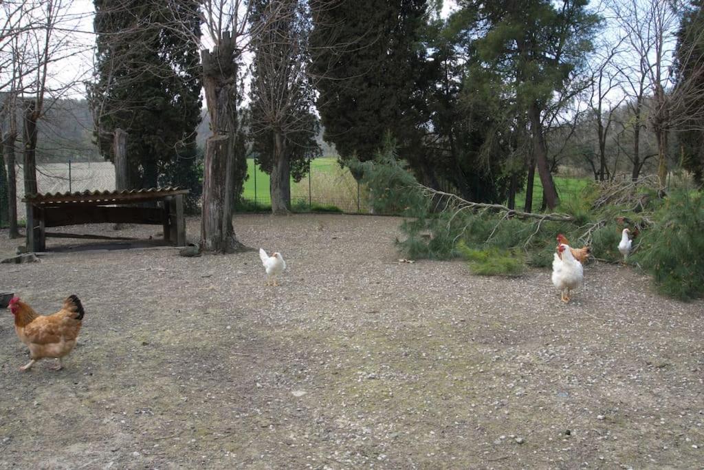 Casa Vacanze Podere San Giusto Volterra Luaran gambar