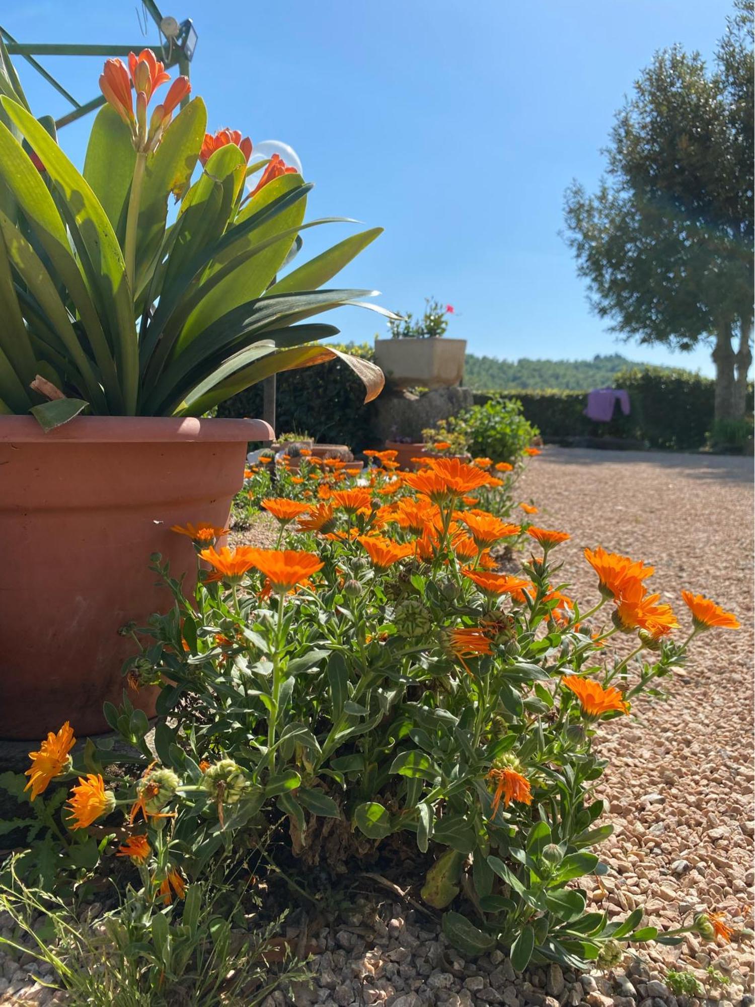 Casa Vacanze Podere San Giusto Volterra Luaran gambar
