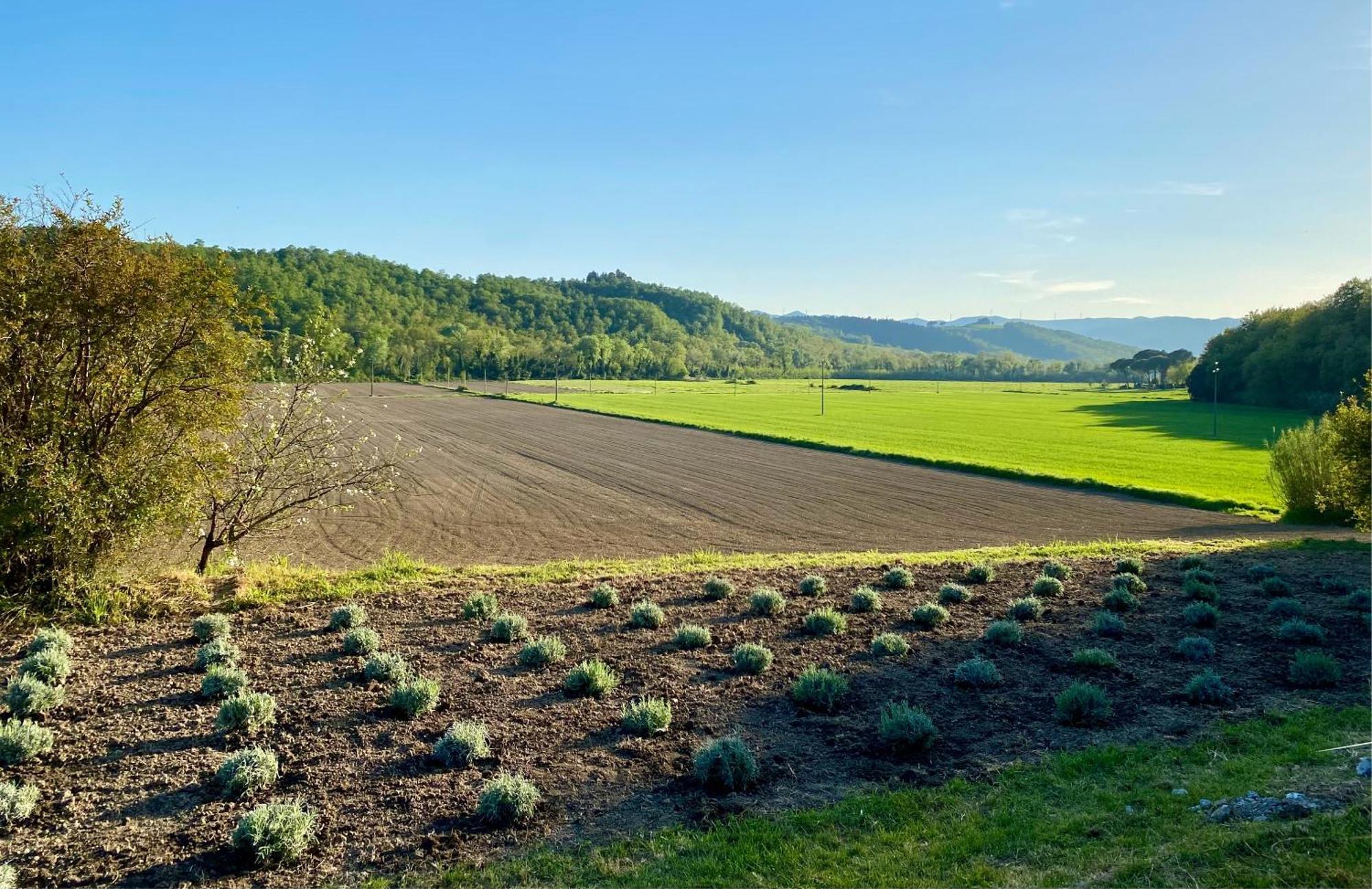Casa Vacanze Podere San Giusto Volterra Luaran gambar