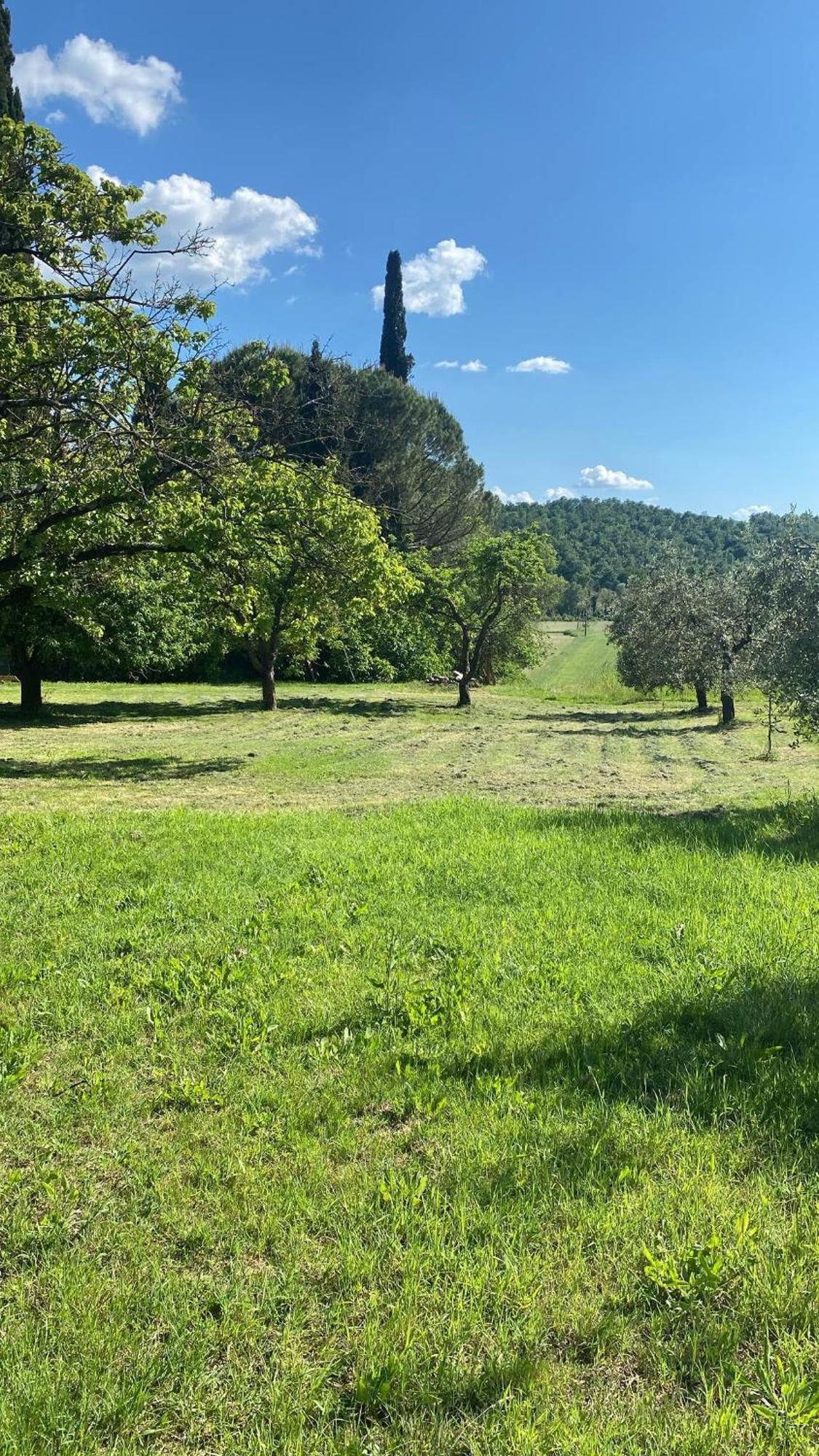 Casa Vacanze Podere San Giusto Volterra Luaran gambar