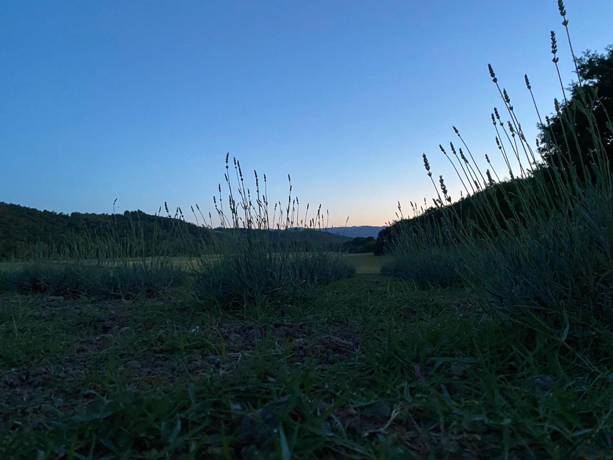 Casa Vacanze Podere San Giusto Volterra Luaran gambar