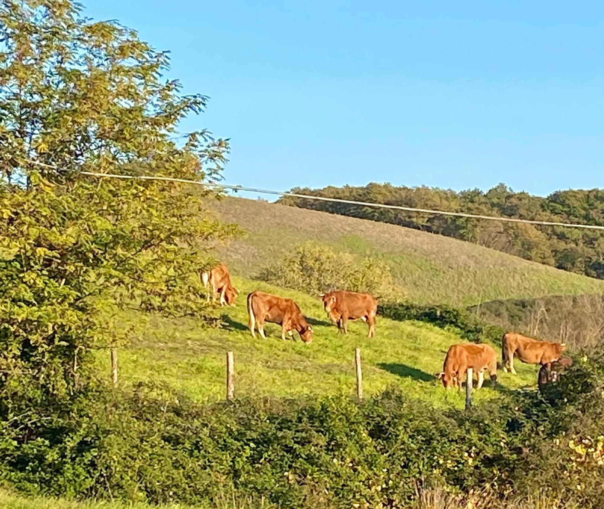 Casa Vacanze Podere San Giusto Volterra Luaran gambar