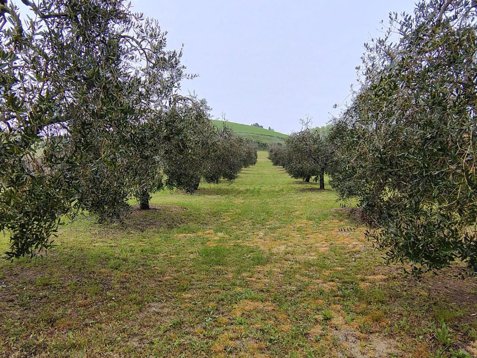 Casa Vacanze Podere San Giusto Volterra Luaran gambar