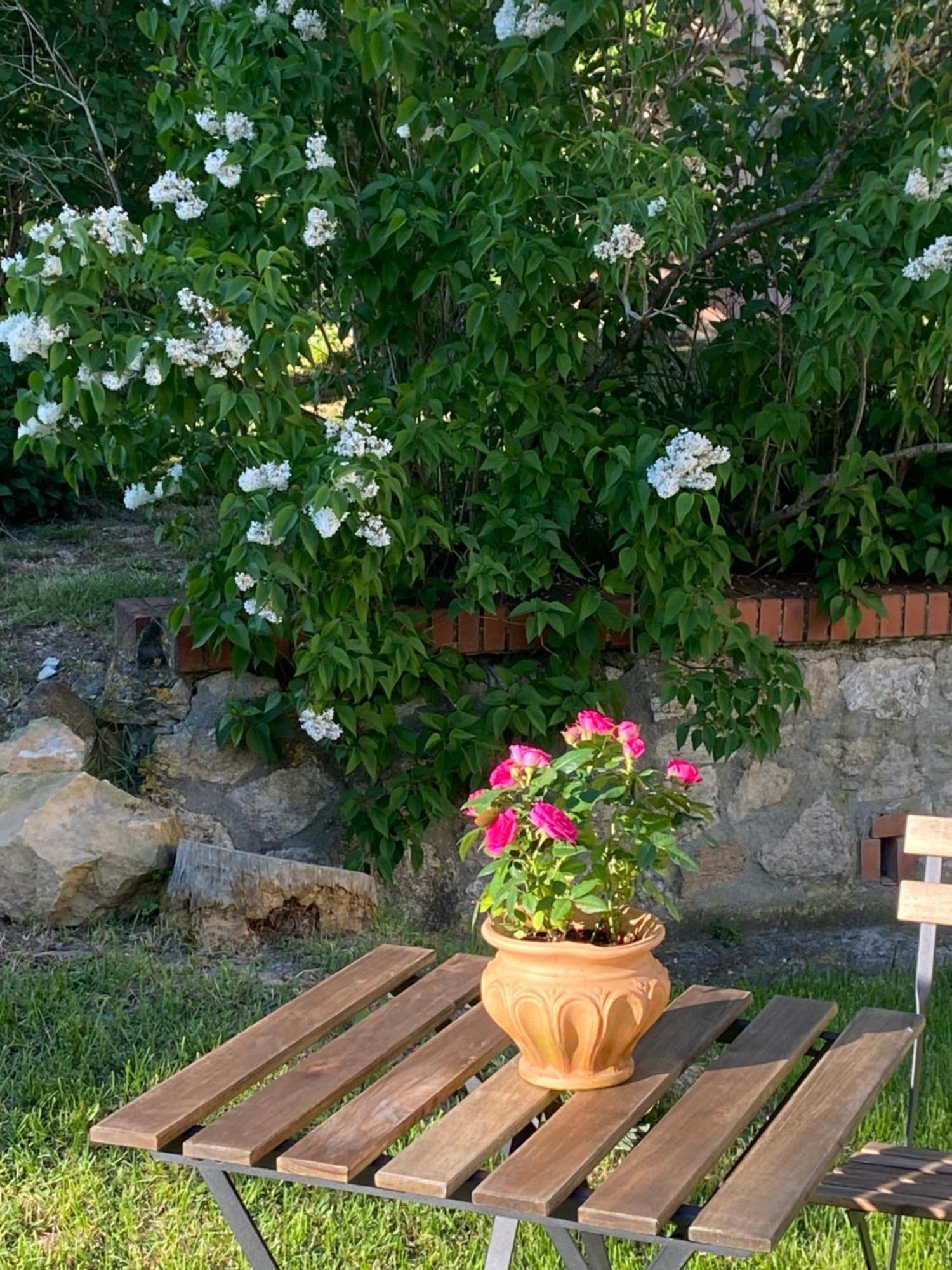 Casa Vacanze Podere San Giusto Volterra Luaran gambar